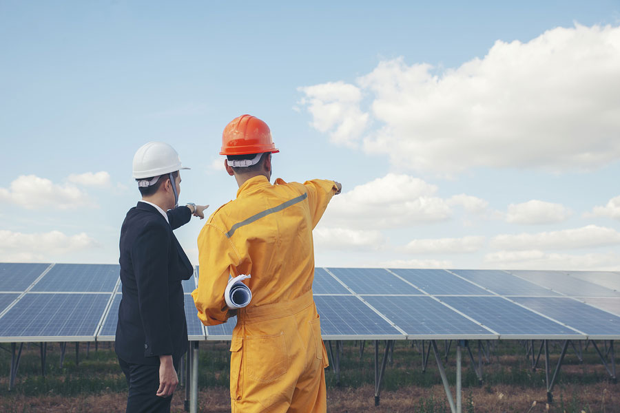 Worker and professional manager point at solar panels background