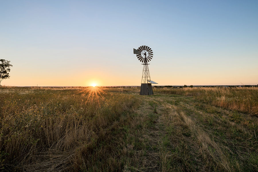 open field with weathervane