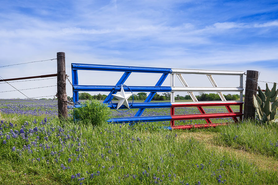 texas themed gate into field