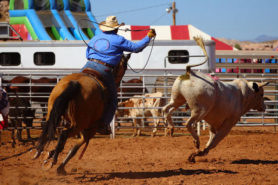 rodeo show