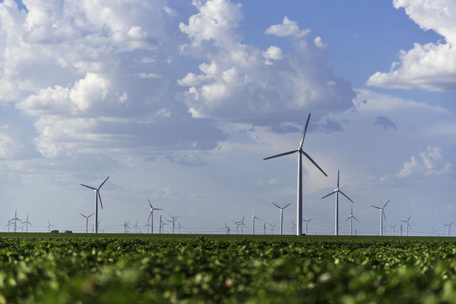 wind turbines in a field